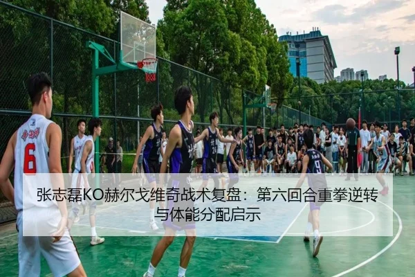 张志磊KO赫尔戈维奇战术复盘：第六回合重拳逆转与体能分配启示