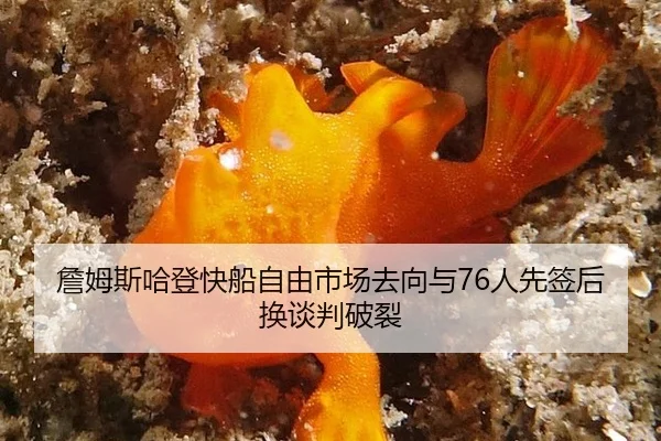 詹姆斯哈登快船自由市场去向与76人先签后换谈判破裂